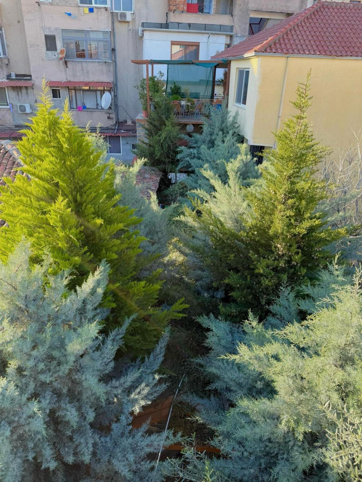 Shkodra Guest House & Trips Exterior photo